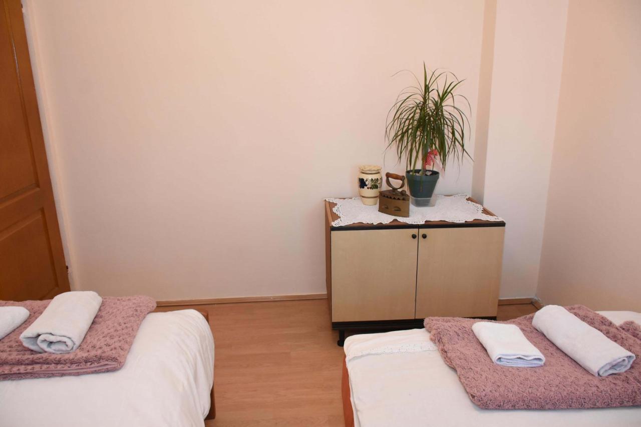 Stancic 019 Apartment Zajecar Bagian luar foto