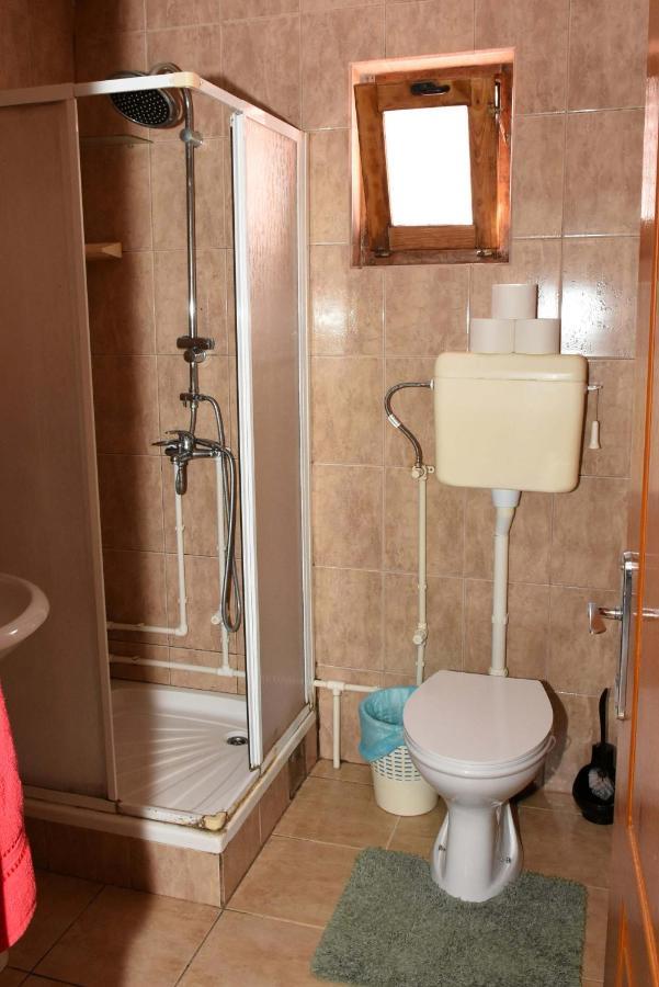 Stancic 019 Apartment Zajecar Bagian luar foto